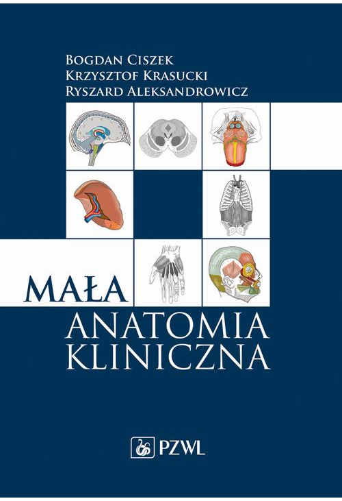 Mała anatomia kliniczna