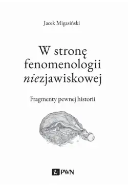 W stronę fenomenologii...
