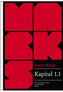 Kapitał 1.1. Rezultaty...