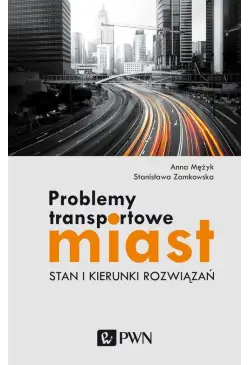 Problemy transportowe miast