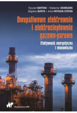 Dwupaliwowe elektrownie i...