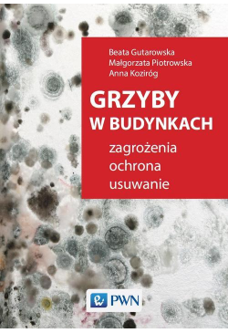 Grzyby w budynkach