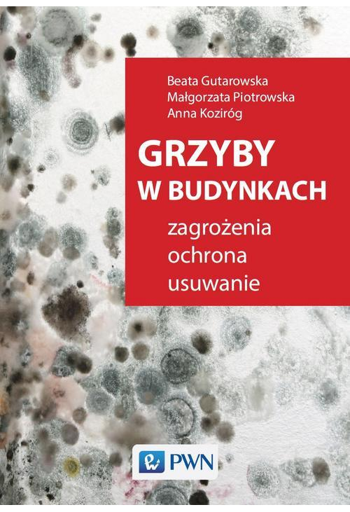 Grzyby w budynkach