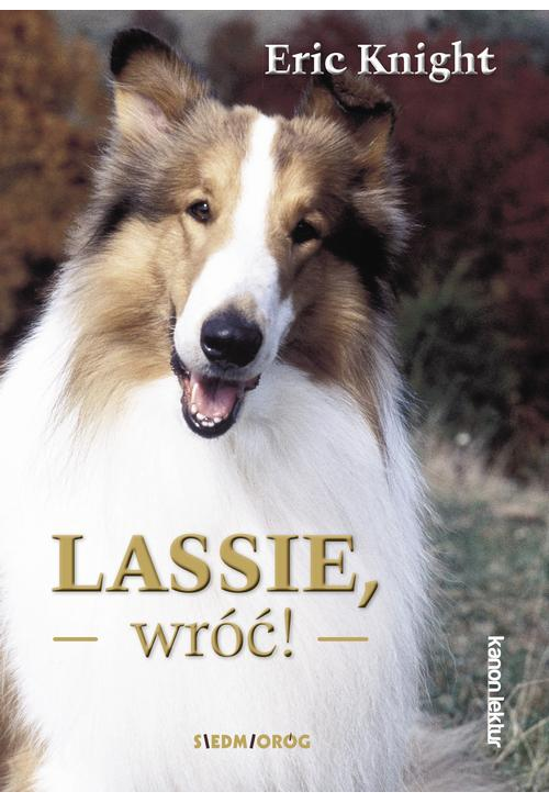 Lassie, wróć !