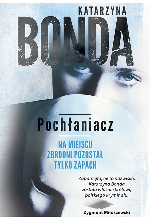 Pochłaniacz