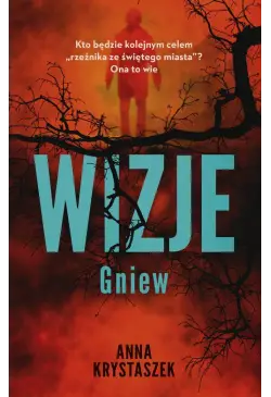Wizje