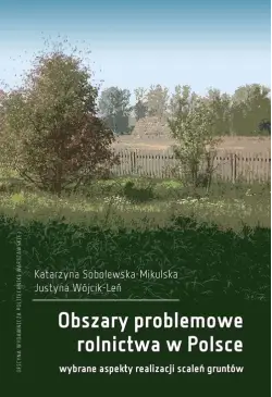 Obszary problemowe...