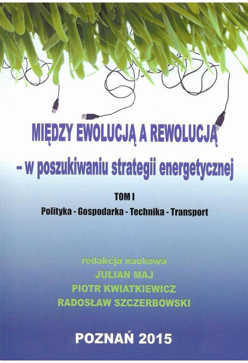 Między ewolucją a rewolucją - w poszukiwaniu strategii energetycznej Tom 1