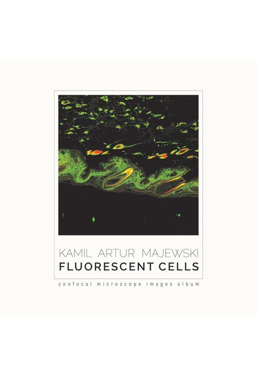 Fluorescent cells. Confocal microscope images album