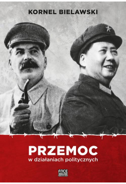 Przemoc w działaniach...