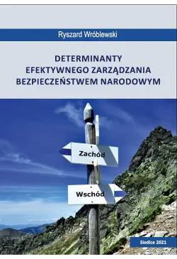 Determinanty efektywnego...