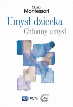 Umysł dziecka Chłonny umysł