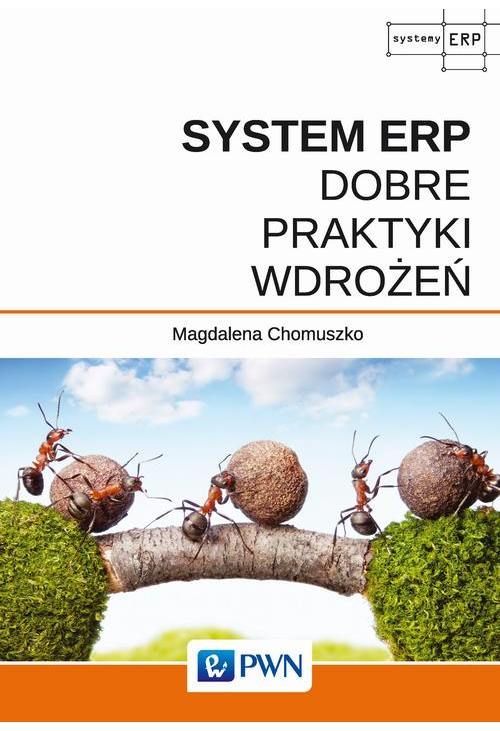 System ERP - Dobre praktyki wdrożeń