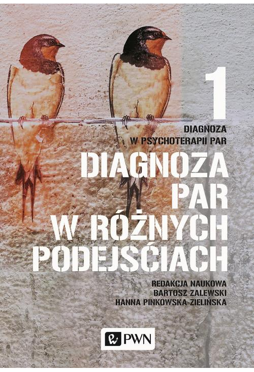 Diagnoza w psychoterapii par. Tom 1. Diagnoza par w różnych podejściach