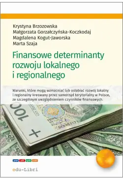 Finansowe determinanty...