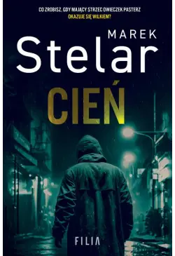 Cień