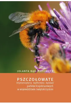 Pszczołowate (Hymenoptera:...