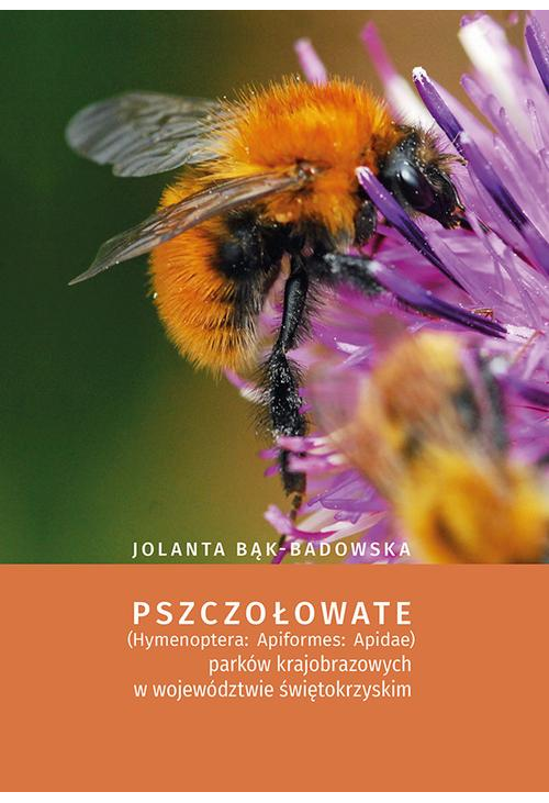 Pszczołowate (Hymenoptera: Apiformes: Apidae) parków krajobrazowych w województwie świętokrzyskim