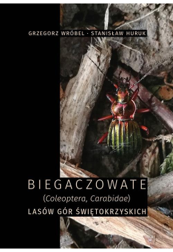 Biegaczowate (Coleoptera,...