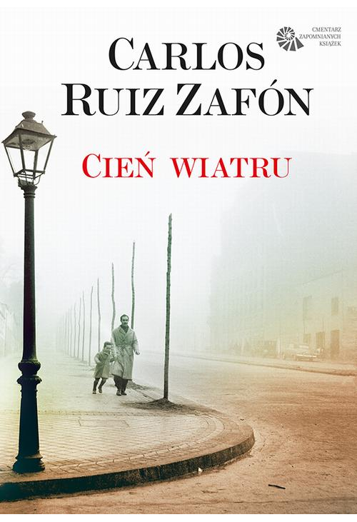 Cień wiatru