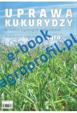 Uprawa kukurydzy w...