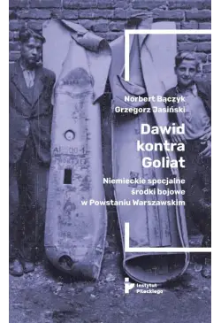 Dawid kontra Goliat....