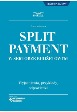 Split Payment w sektorze...