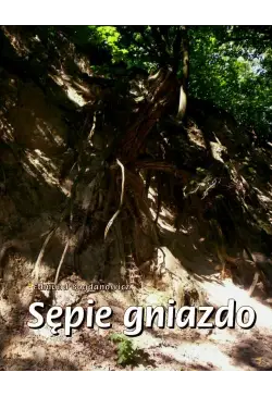 Sępie gniazdo