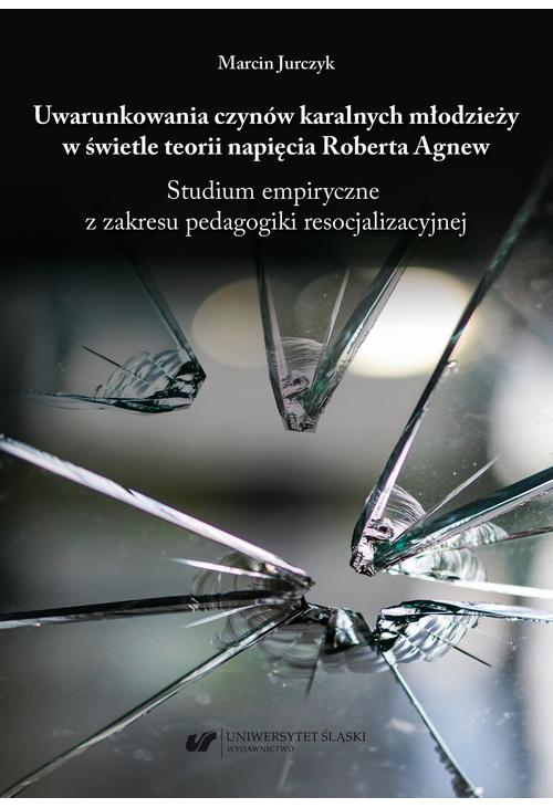 Uwarunkowania czynów karalnych młodzieży w świetle teorii napięcia Roberta Agnew. Studium empiryczne z zakresu pedagogiki re...