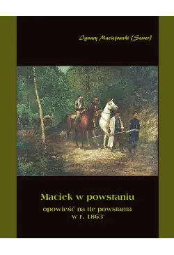 Maciek w powstaniu