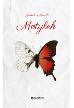 Motylek