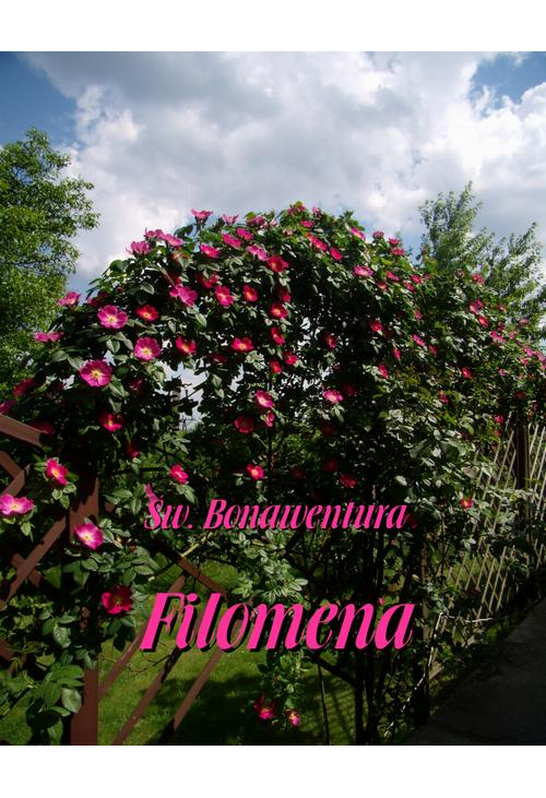 Filomena