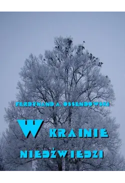 W krainie niedźwiedzi