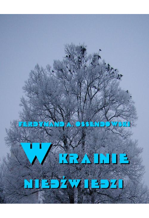 W krainie niedźwiedzi