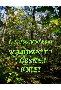 W ludzkiej i leśnej kniei