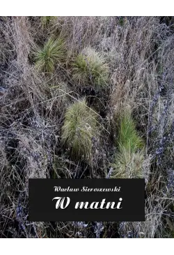 W matni