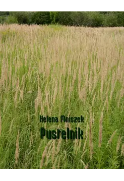 Pustelnik