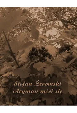 Aryman mści się