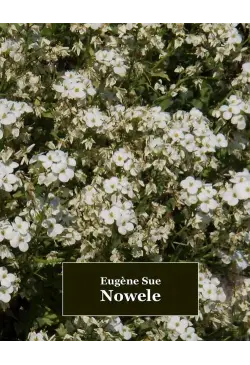 Nowele