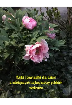 Bajki i powiastki dla...