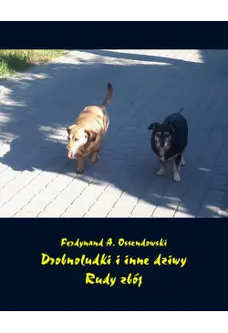 Drobnoludki i inne dziwy....
