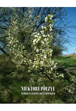 Niektóre poezye Andrzeja i...