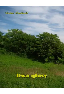 Dwa głosy