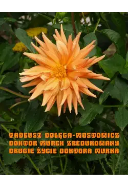 Doktor Murek zredukowany....