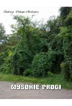 Wysokie Progi