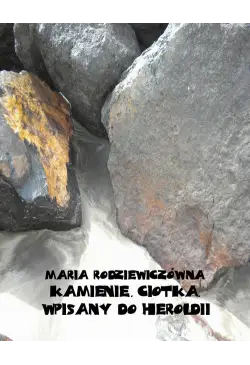 Kamienie. Ciotka. Wpisany...