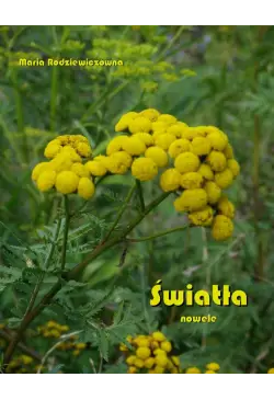 Światła. Nowele
