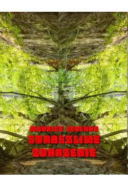 Straszliwe zdarzenie. Powieść