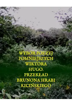 Wybór poezyj pomniejszych...
