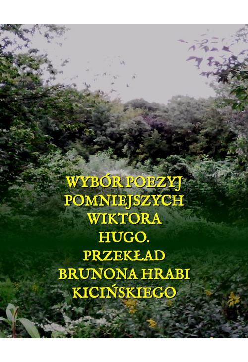 Wybór poezyj pomniejszych Wiktora Hugo